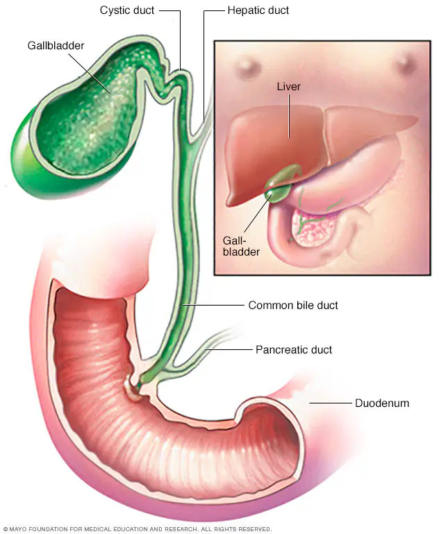 Gallbladder Cancer Treatment in Bikaner