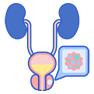 Prostate Cancer Treatment in Bikaner